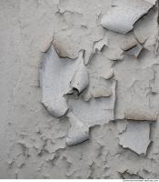 Walls Plaster 0058